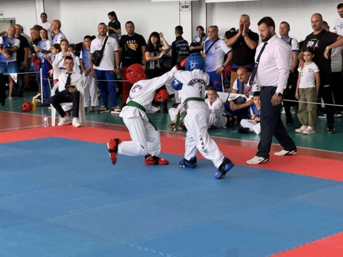 таекуон-до Плевен