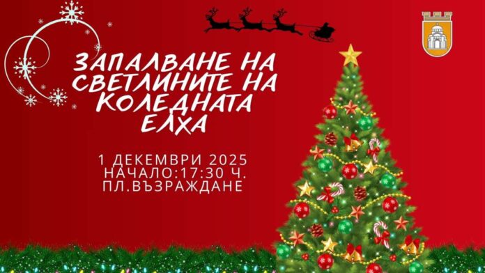 коледна елха